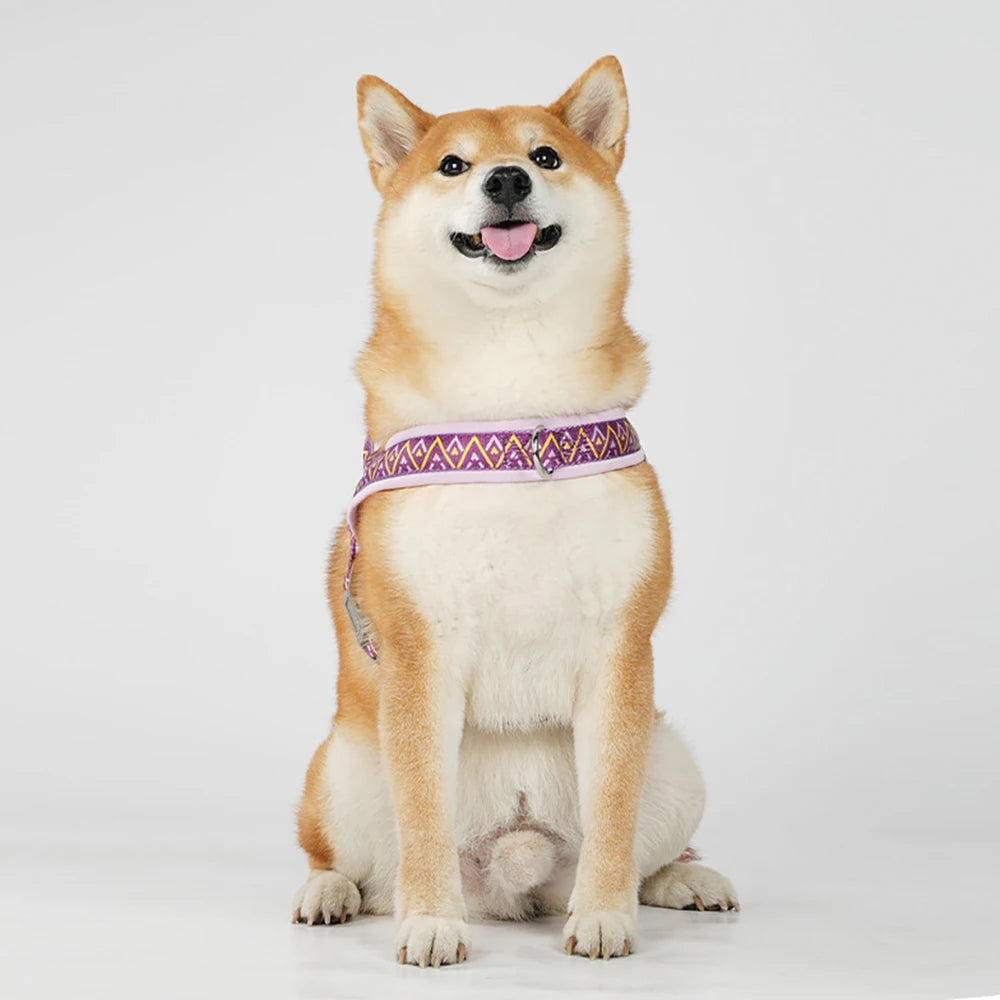 Fashion Printed Dog Harness: Soft No-Pull Padded Saddle Vest