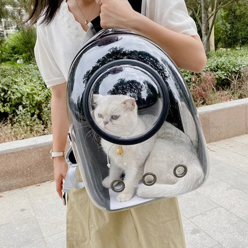 360° Transparent Cat Backpack Carrier – Breathable Bubble Travel Backpack for Cats & Small Dogs