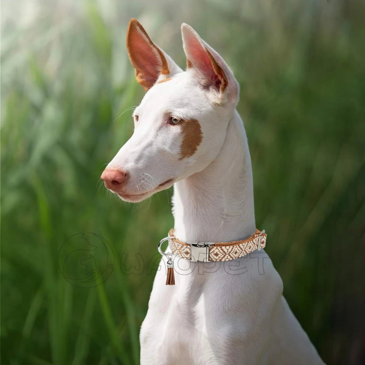 Bohemian Ethnic Style Pet Collar: Luxurious Adjustable Multi-Color Neckband