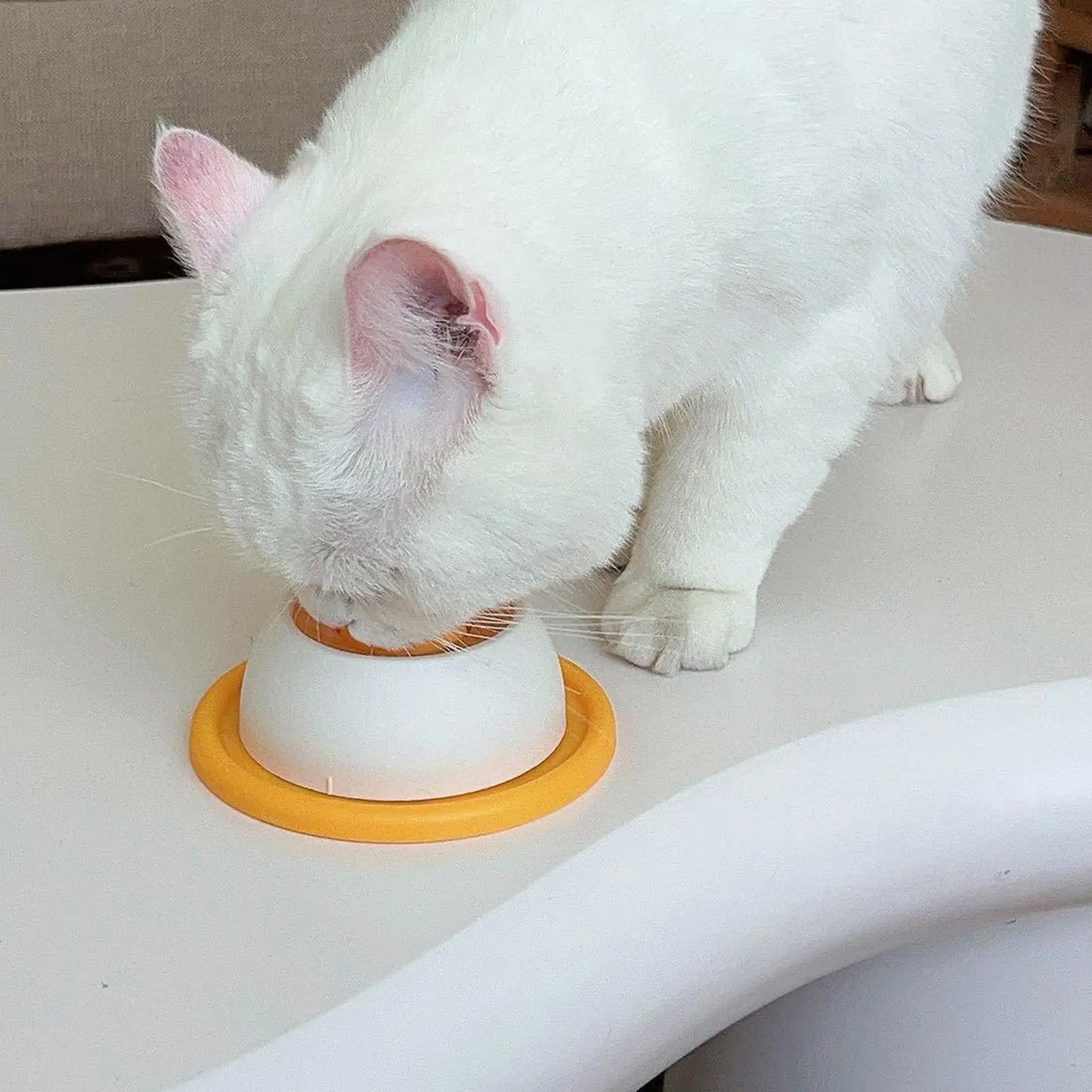 Educational Licking Toy & Slow Feeder - Non-Slip Interactive Pet Bowl