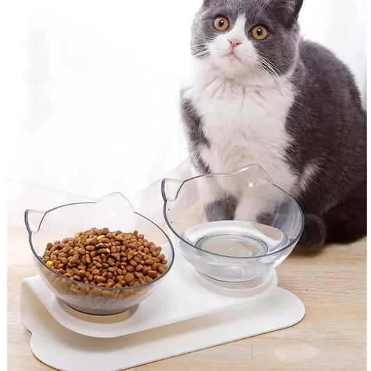 Elevated Tilted Cat Bowl – Anti-Vomiting Orthopedic Food & Water Bowl for Cats, Puppies & Rabbits