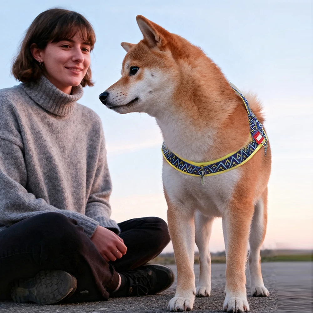 Fashion Printed Dog Harness: Soft No-Pull Padded Saddle Vest