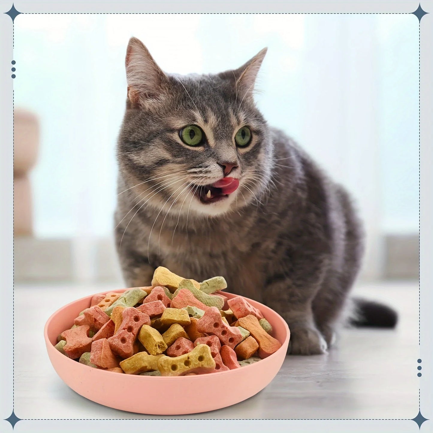 Pack of 4 Whisker-Friendly Cat Bowls – Shallow Non-Slip Feeding Dishes for Cats & Kittens