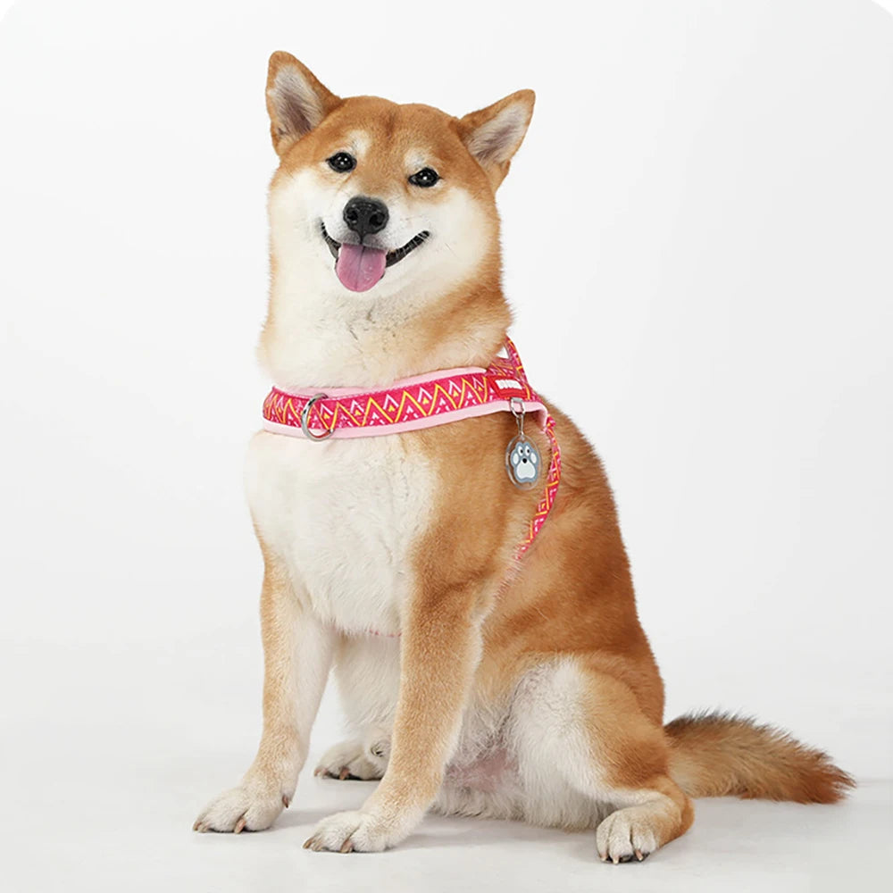 Fashion Printed Dog Harness: Soft No-Pull Padded Saddle Vest
