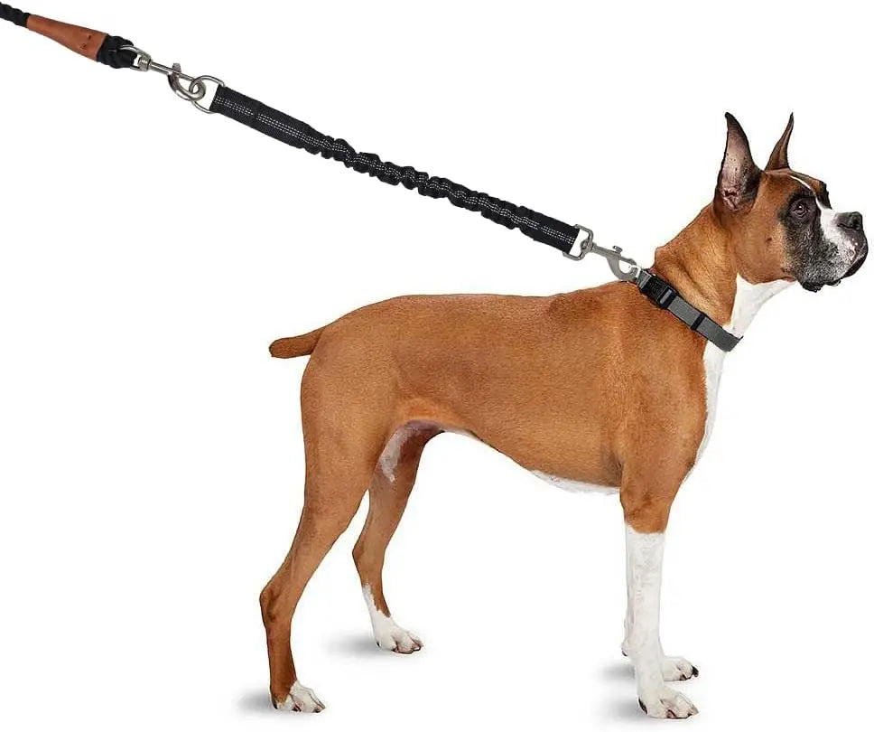 Adjustable Dog Leash Extension - Durable Extendable Lead for Small & Medium Dogs