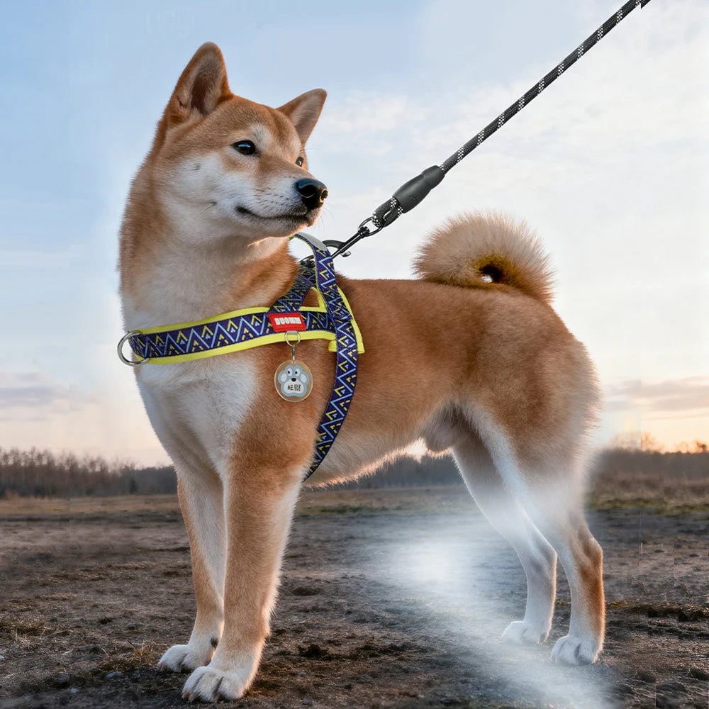 Fashion Printed Dog Harness: Soft No-Pull Padded Saddle Vest