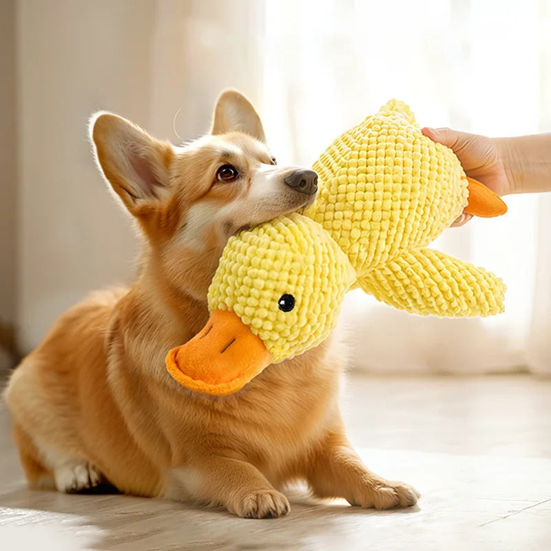 Interactive Plush Squeak Doll - Tough Toy for Cats & Dogs