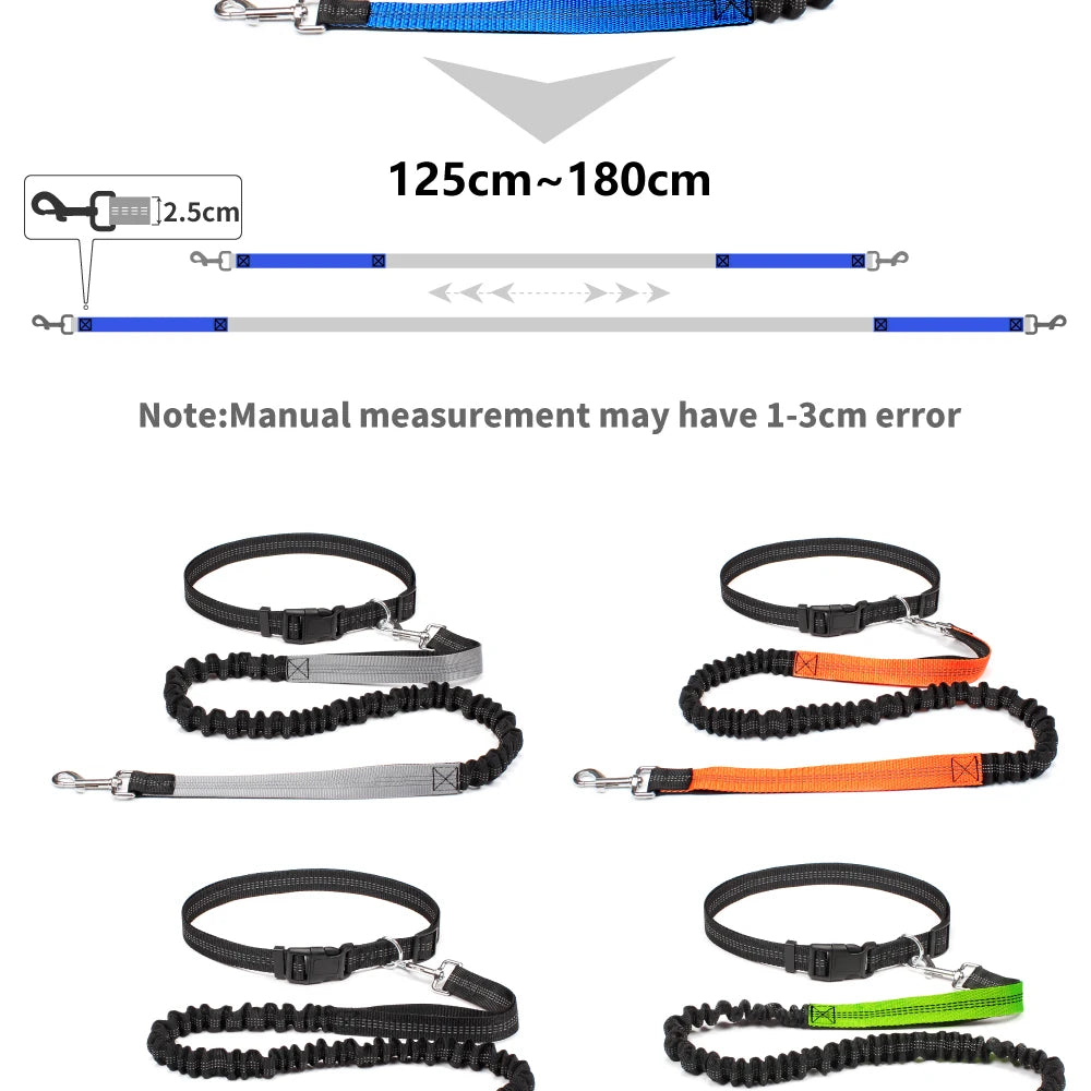 Hands-Free Dog Leash with Waist Belt - Adjustable Running & Jogging Lead