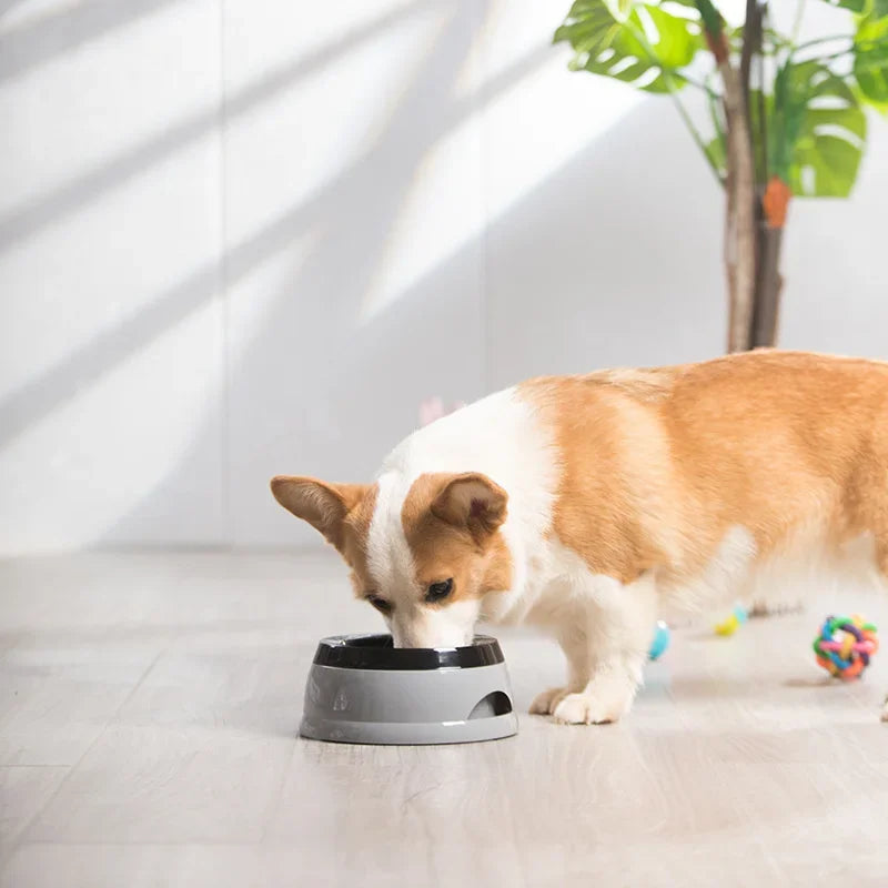 No-Wet Mouth Floating Dog Water Bowl - Anti-Spill Portable Outdoor Drinker