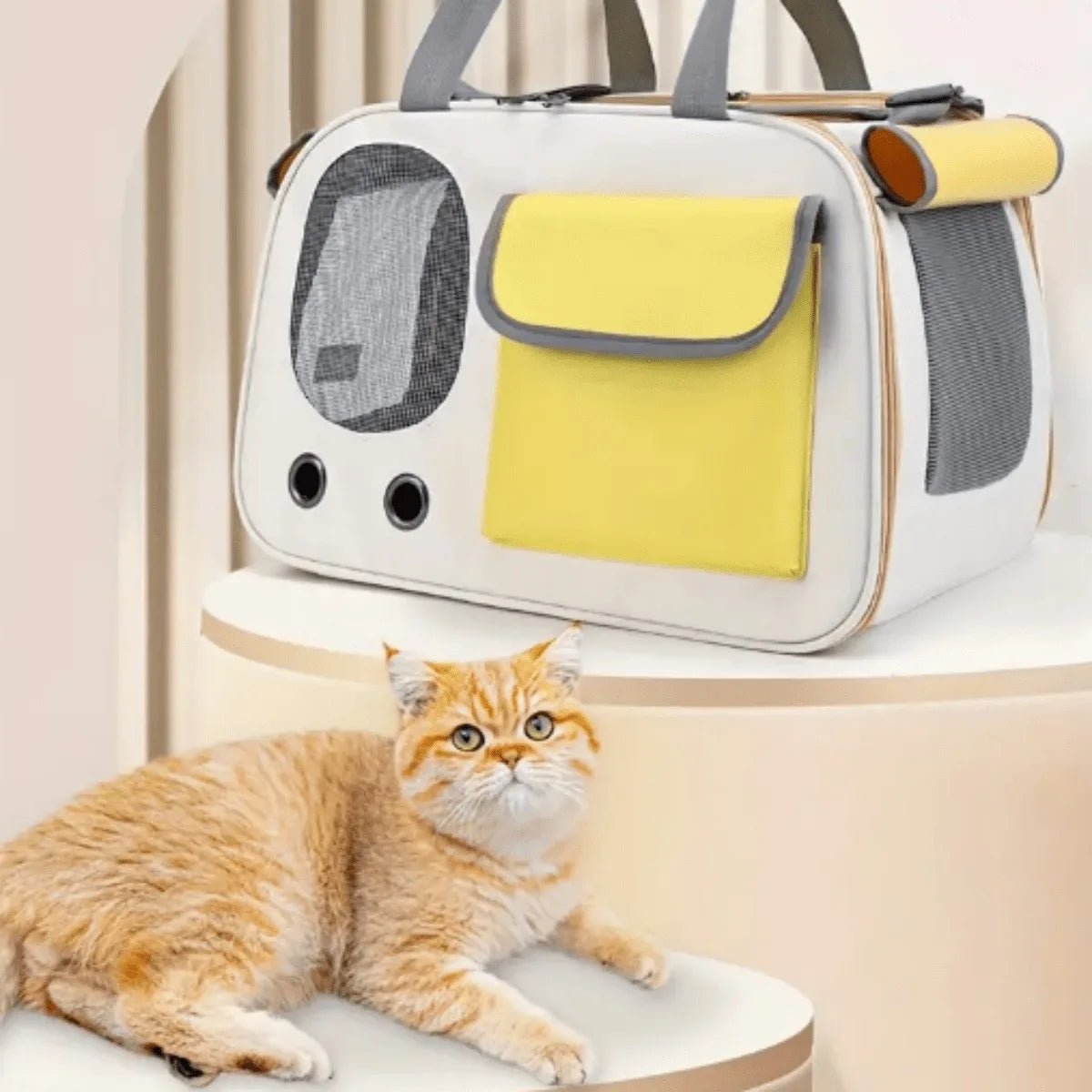 Portable Pet Carrier Bag for Cats & Small Dogs – Lightweight Travel Carrier for Outdoor Adventures