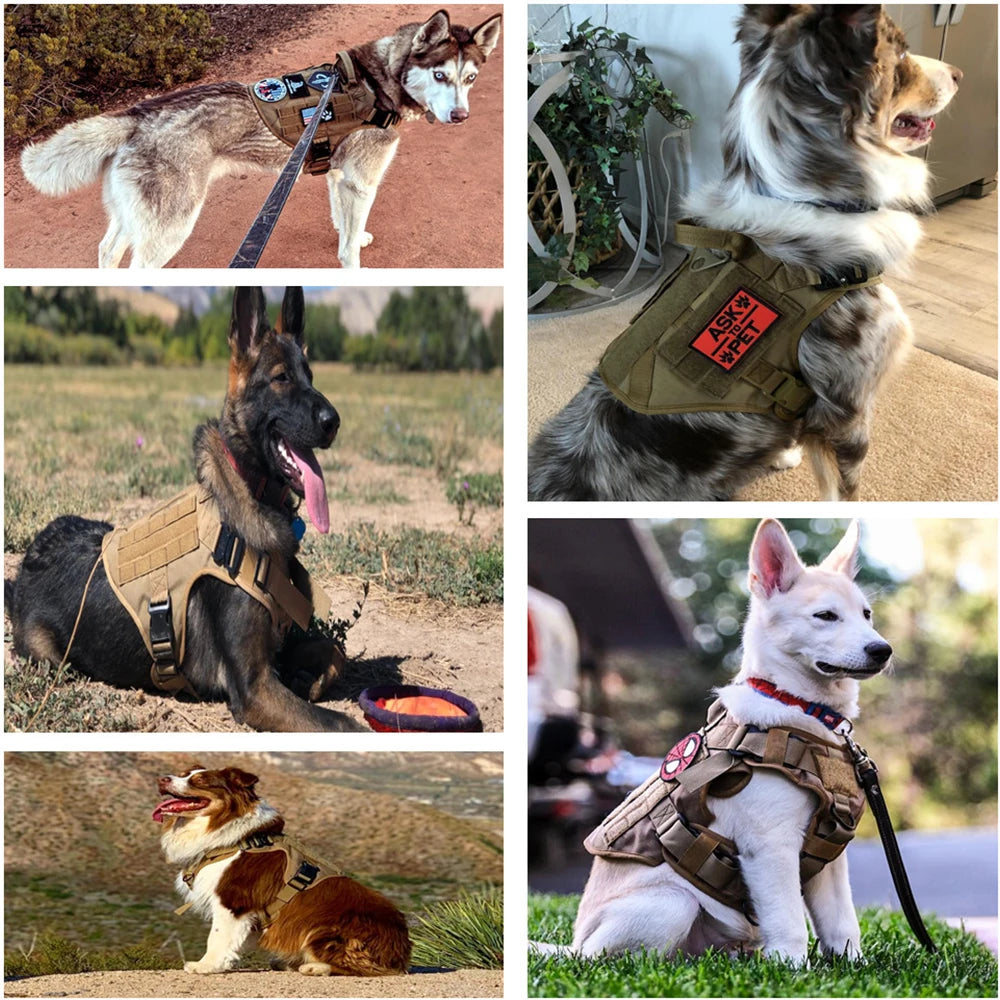 Military Tactical Dog Harness: Heavy-Duty Training Vest for German Shepherds