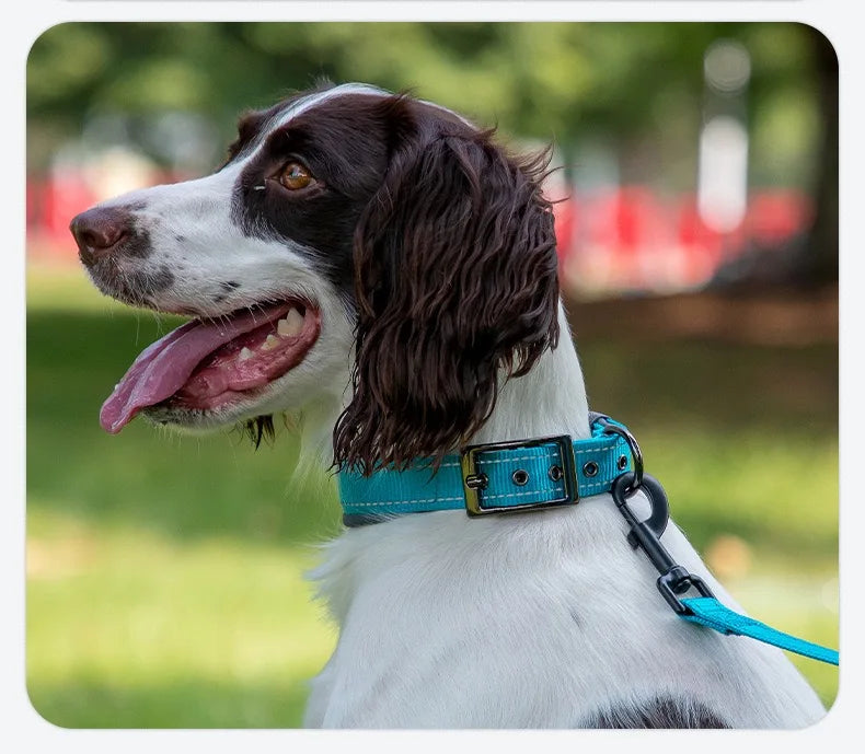 Reflective Padded Dog Collar - Heavy Duty Nylon & Neoprene