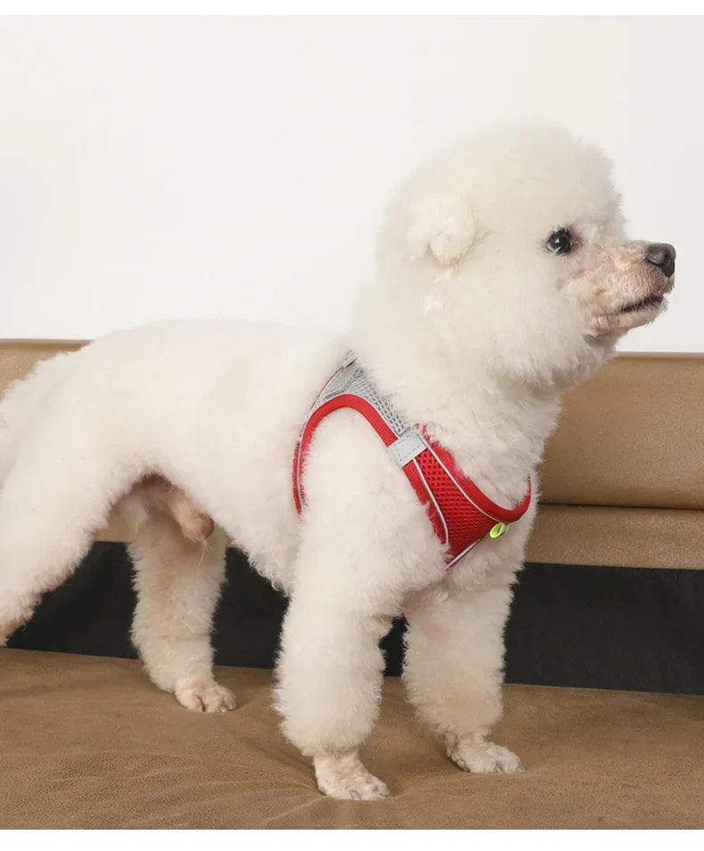 Dog Harness and Leash Set: Adjustable No-Choke Vest for Small Dogs & Cats