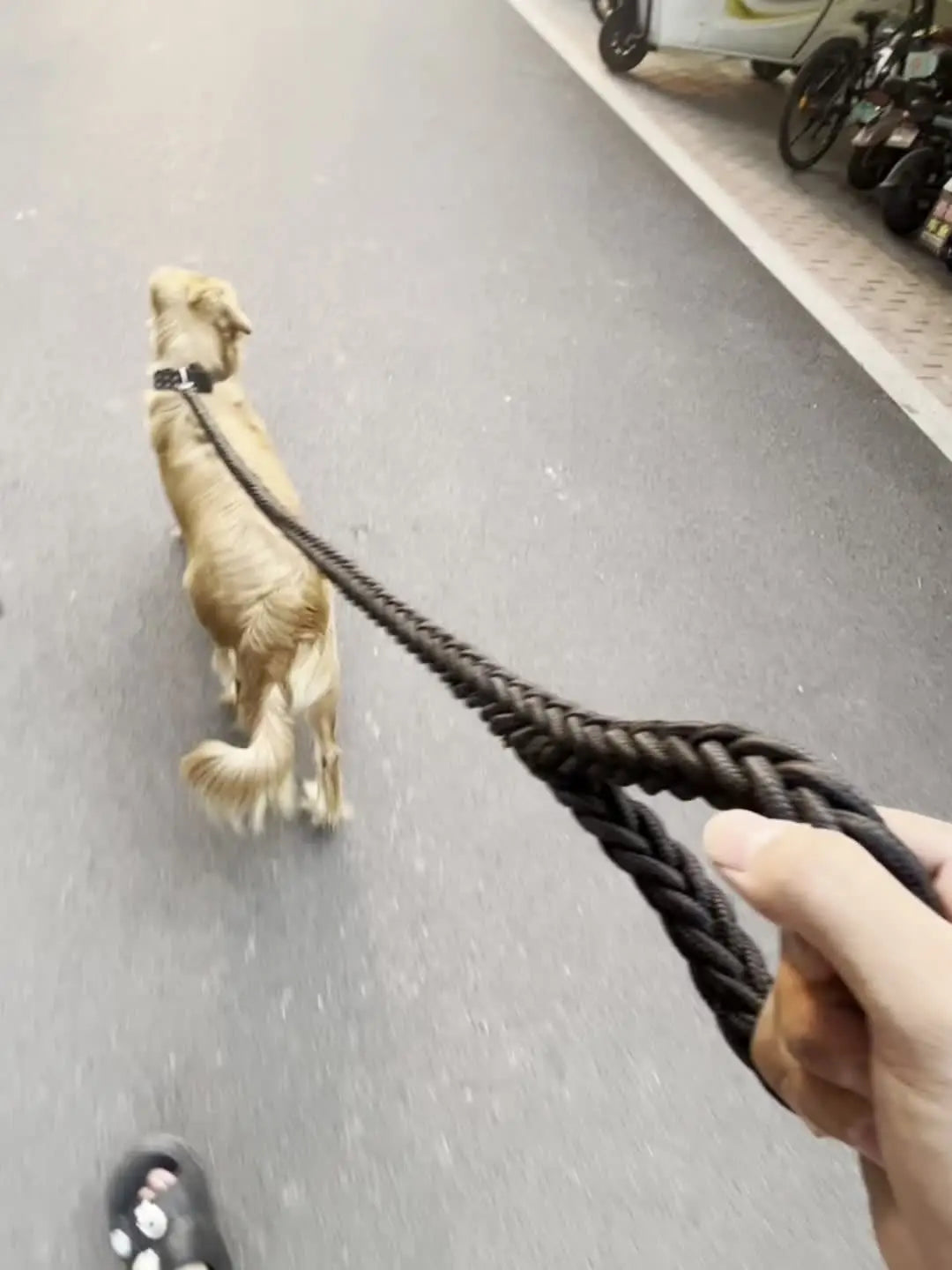 Heavy-Duty Braided Dog Leash - Strong Training Lead for Large Dogs