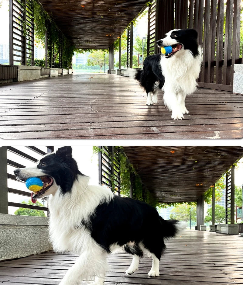 Interactive Squeaky Dog Ball - Soft TPR Teeth Cleaning Toy