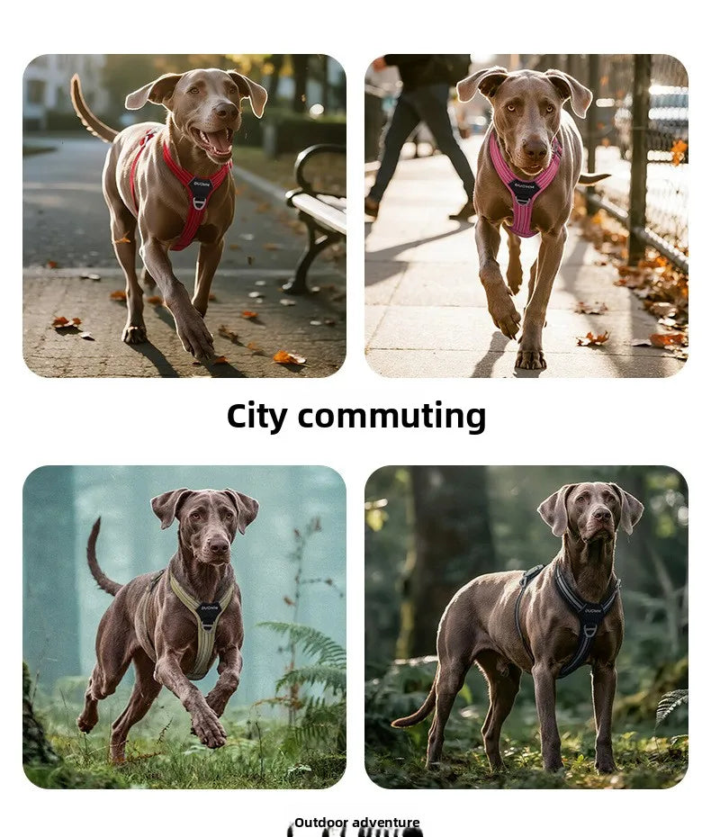Car Safety Dog Harness: No-Pull, Reflective & Adjustable