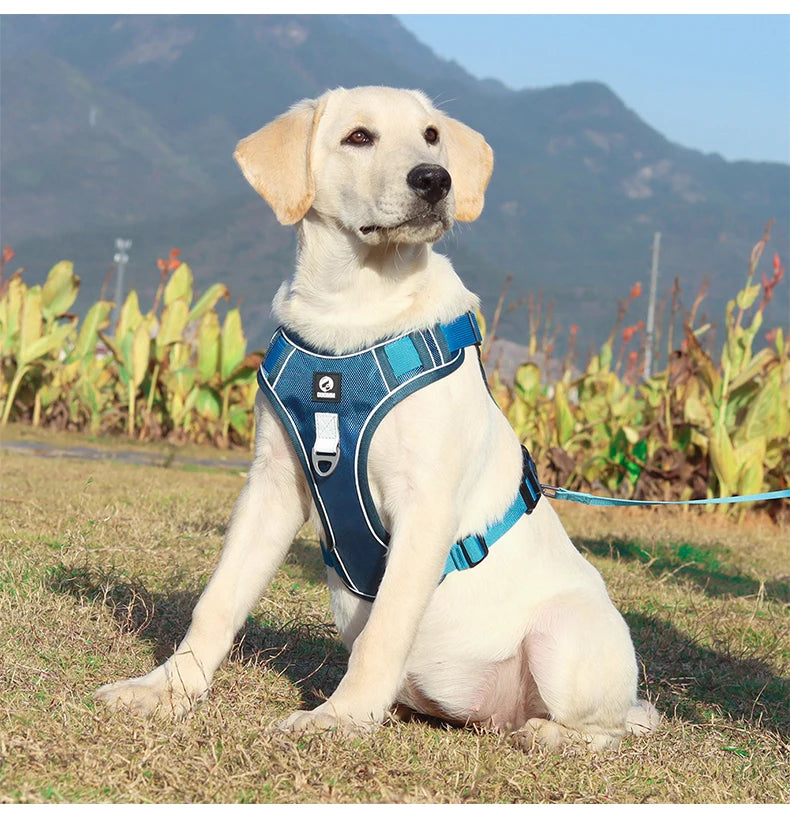 Heavy-Duty Oxford Dog Harness: Reflective Training Vest for Medium & Large Breeds