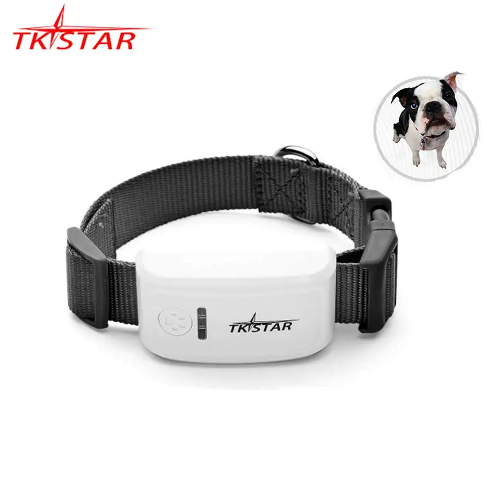 TK909 2G GSM GPS Pet Tracker – Waterproof IP67 Dog & Cat GPS Locator with Free App