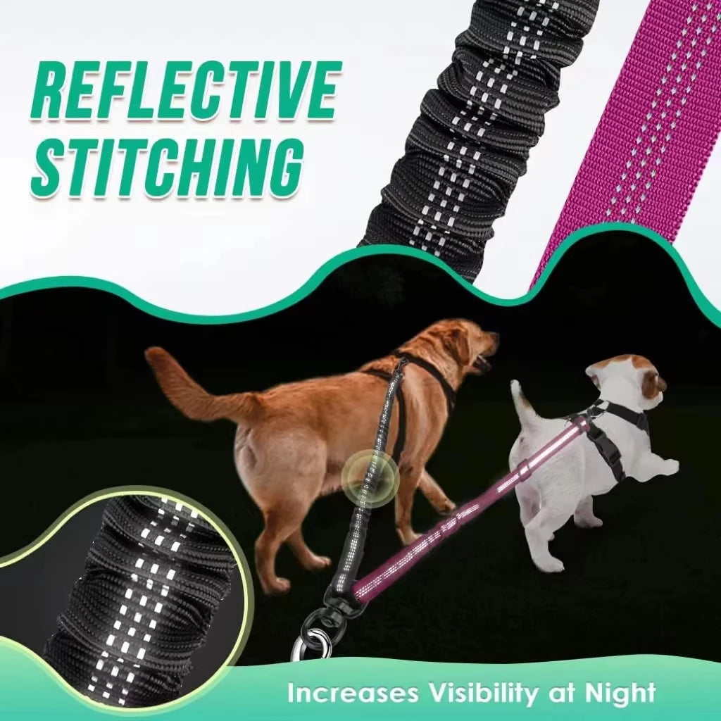 1.6ft Dual Dog Leash Extension - Shock Absorbing Bungee Coupler