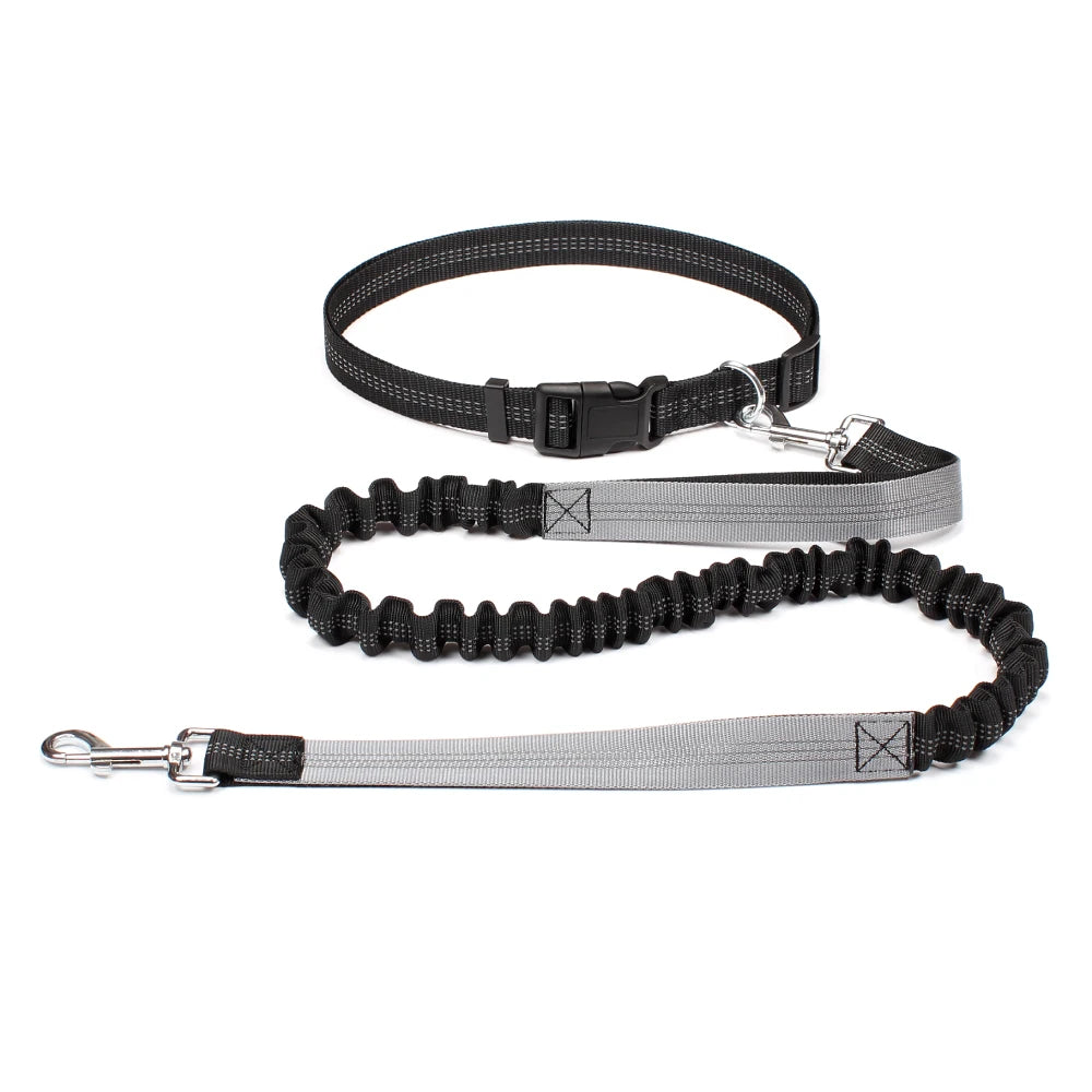 Hands-Free Dog Leash with Waist Belt - Adjustable Running & Jogging Lead