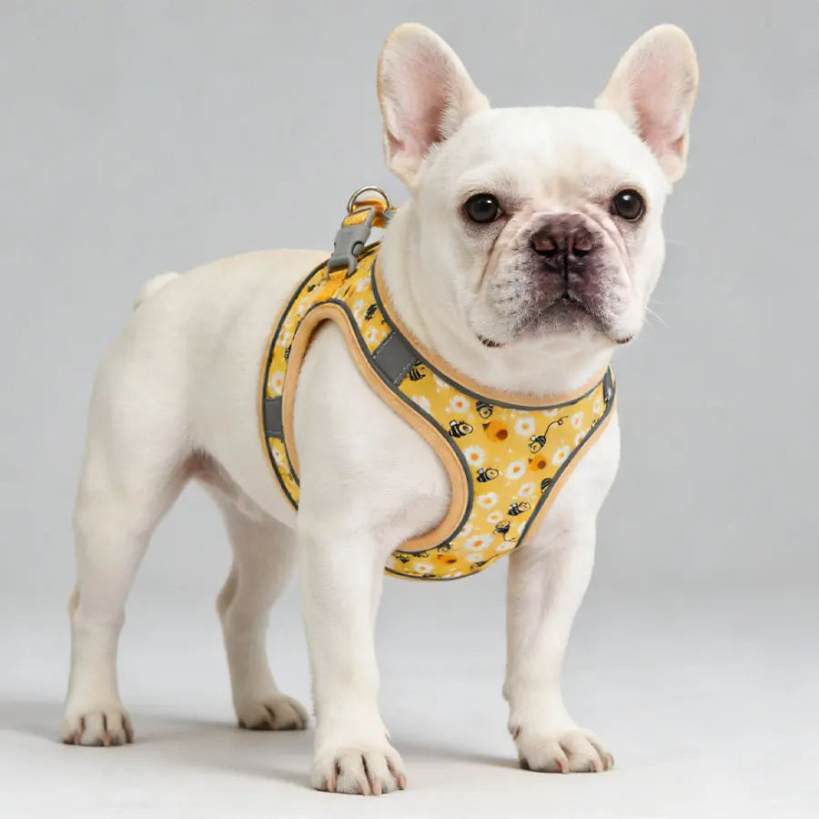 DH009 Cartoon Dog Harness and Leash Set: Breathable Honeycomb Mesh Vest