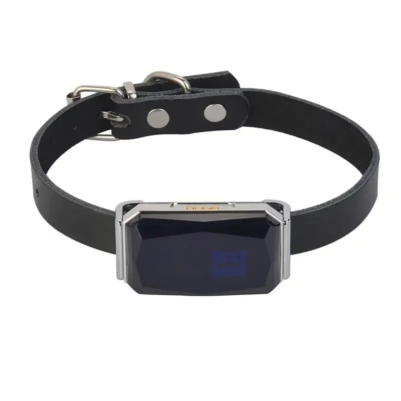 IP67 Waterproof GPS Pet Tracker – WiFi Smart Collar Locator with LED Light for Dogs & Cats