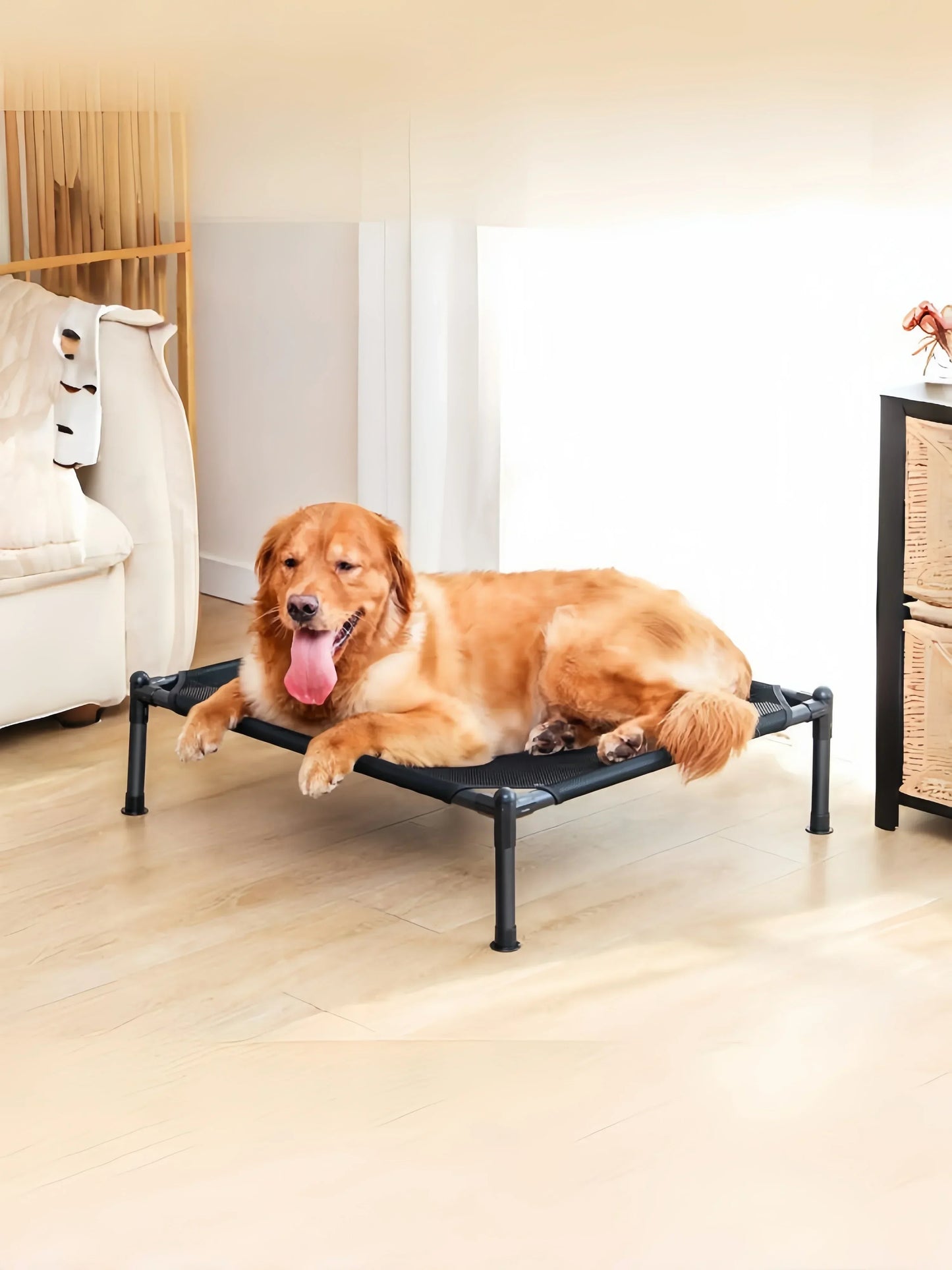 Folding Elevated Pet Bed, Portable Camping Dog & Cat Cot