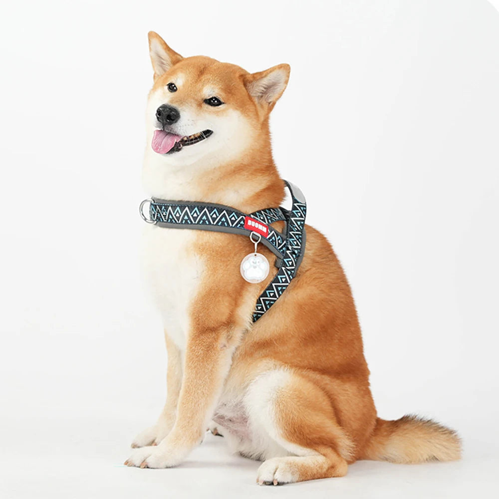 Fashion Printed Dog Harness: Soft No-Pull Padded Saddle Vest