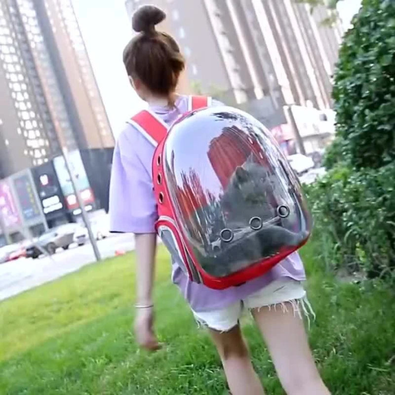 360° Transparent Cat Backpack Carrier – Breathable Bubble Travel Backpack for Cats & Small Dogs