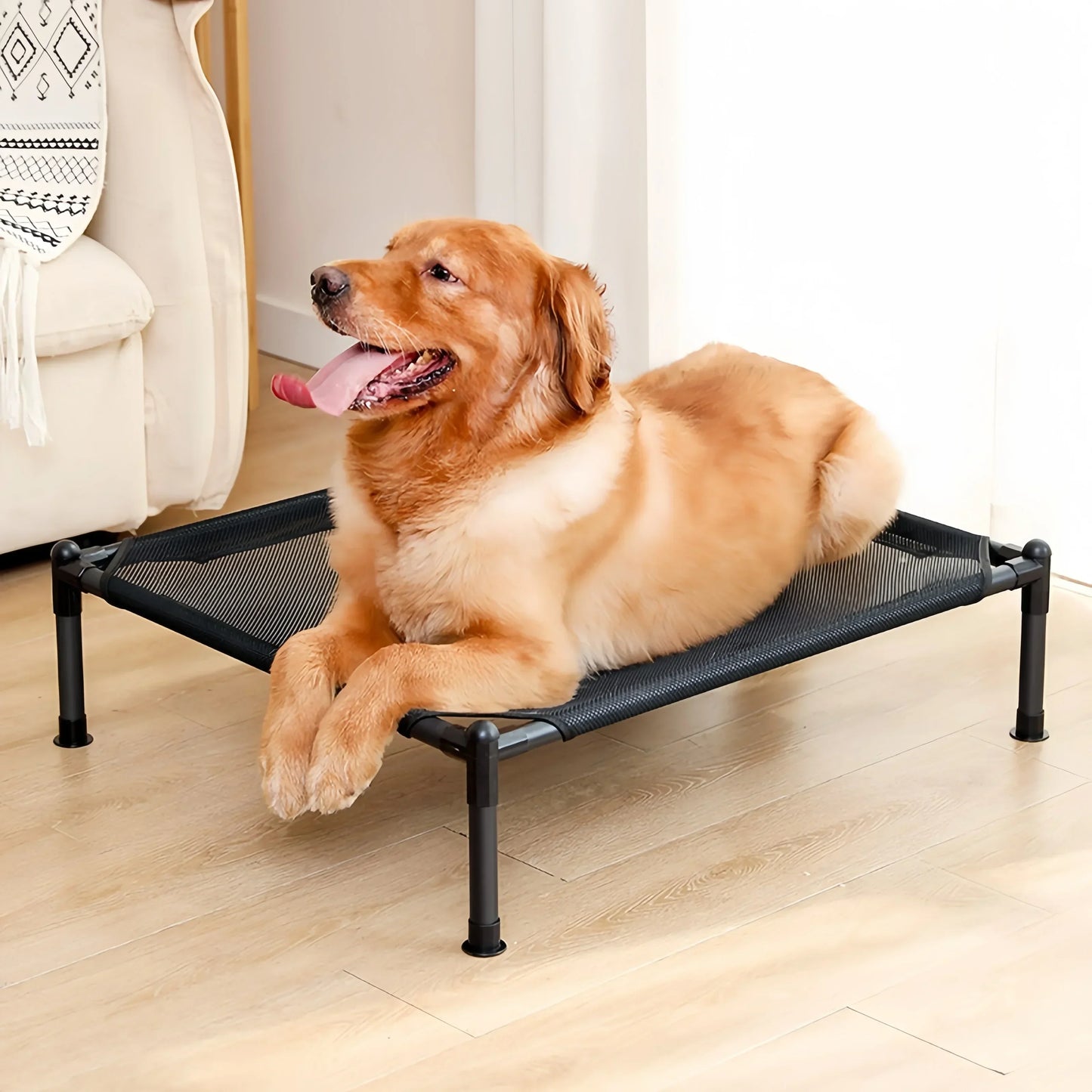 Folding Elevated Pet Bed, Portable Camping Dog & Cat Cot