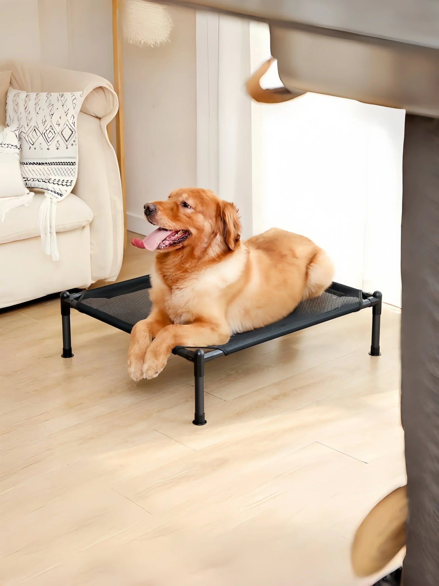 Folding Elevated Pet Bed, Portable Camping Dog & Cat Cot
