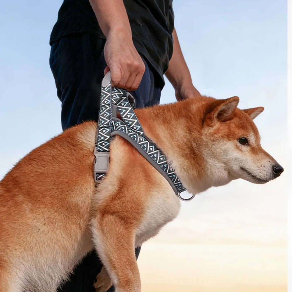 Fashion Printed Dog Harness: Soft No-Pull Padded Saddle Vest