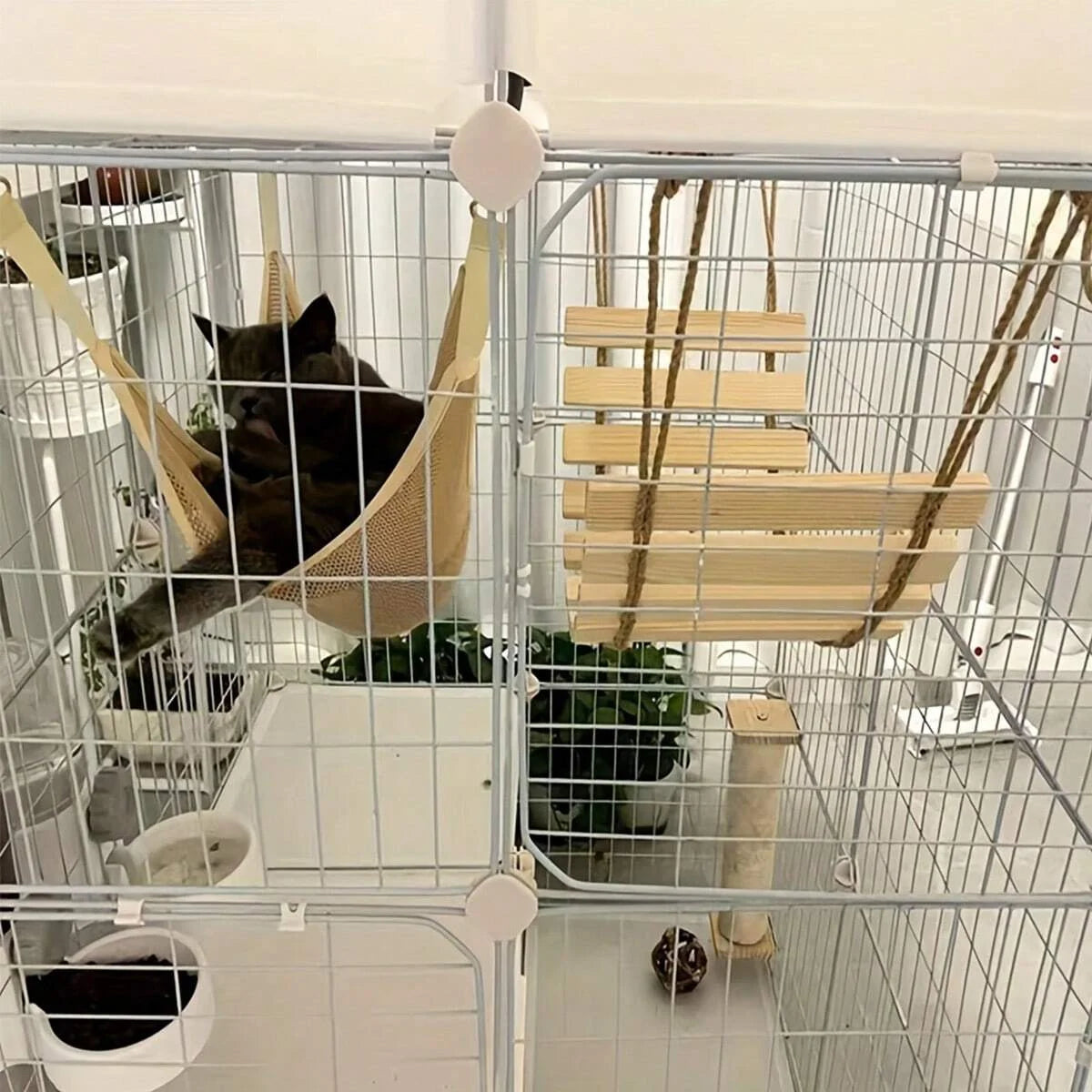 Natural Wood Cat Climbing Bridge - Versatile Cage & Wardrobe Ladder