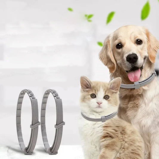 Adjustable Pet Collar for Dogs & Cats: 38cm and 72cm Sizes
