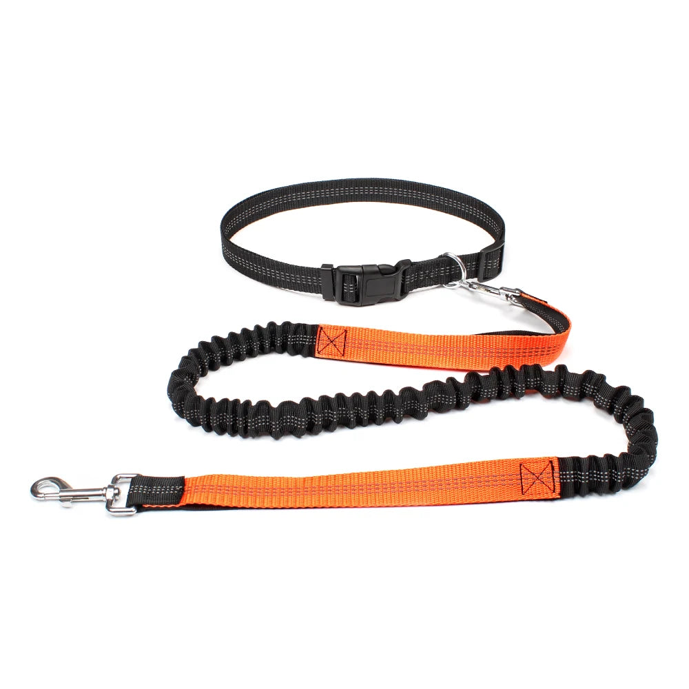 Hands-Free Dog Leash with Waist Belt - Adjustable Running & Jogging Lead