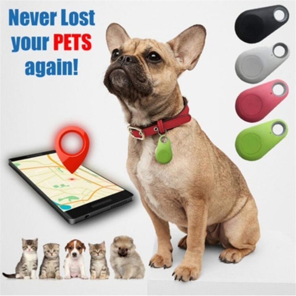 Waterproof Mini GPS Tracker for Dogs & Cats – Real-Time Global Pet Locator with Movement Alerts
