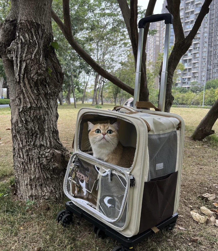 Rolling Cat Carrier with Wheels – Pet Travel Carrier for Large Cats & Small Dogs Up to 10kg