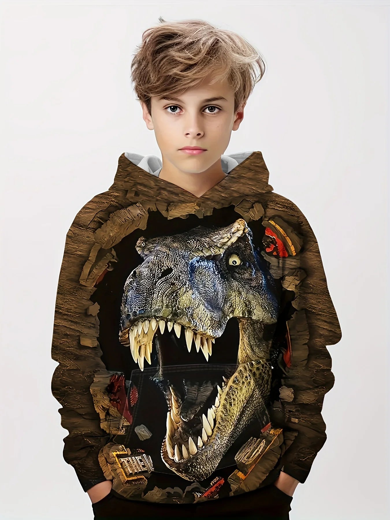 Hoodies Animal Dinosaur Pattern 3D Print Sweatshirts Boys Girls Harajuku Hooded kids Sweatshirt