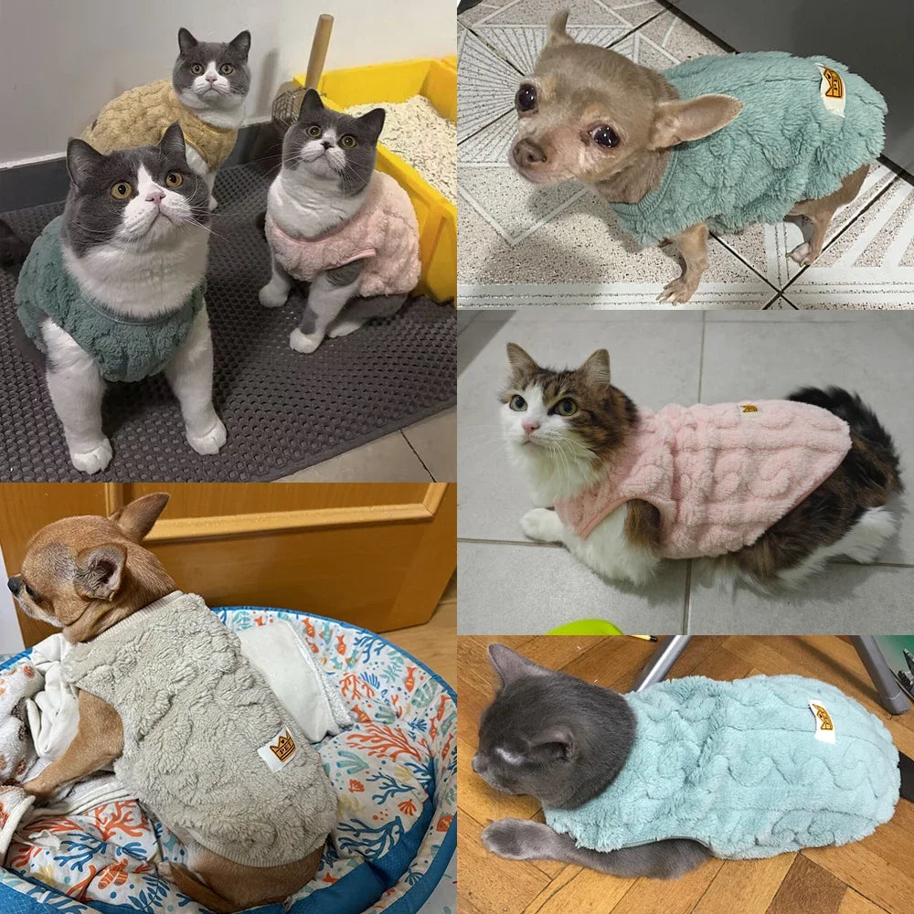 Cute Fleece Cat Sweater – Warm Autumn & Winter Pullover for Cats, Kittens & Small Dogs