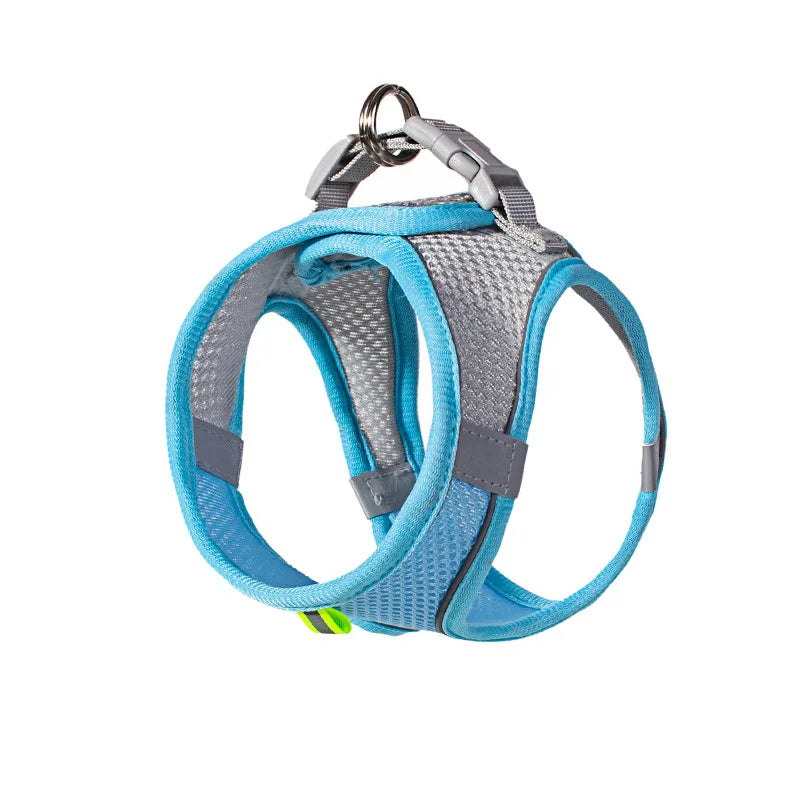 Dog Harness and Leash Set: Adjustable No-Choke Vest for Small Dogs & Cats