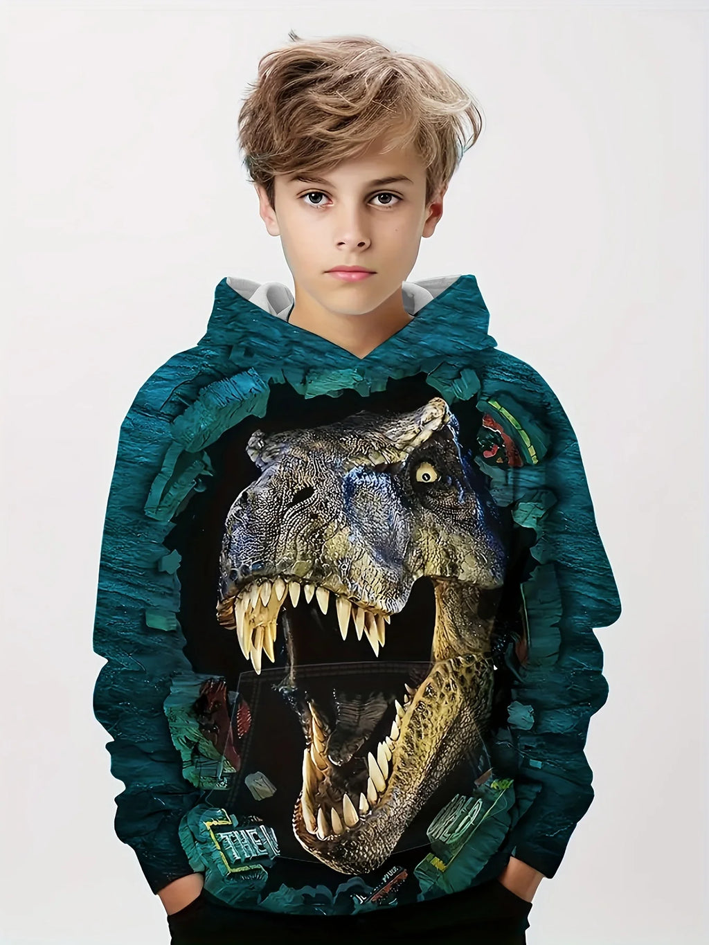 Hoodies Animal Dinosaur Pattern 3D Print Sweatshirts Boys Girls Harajuku Hooded kids Sweatshirt