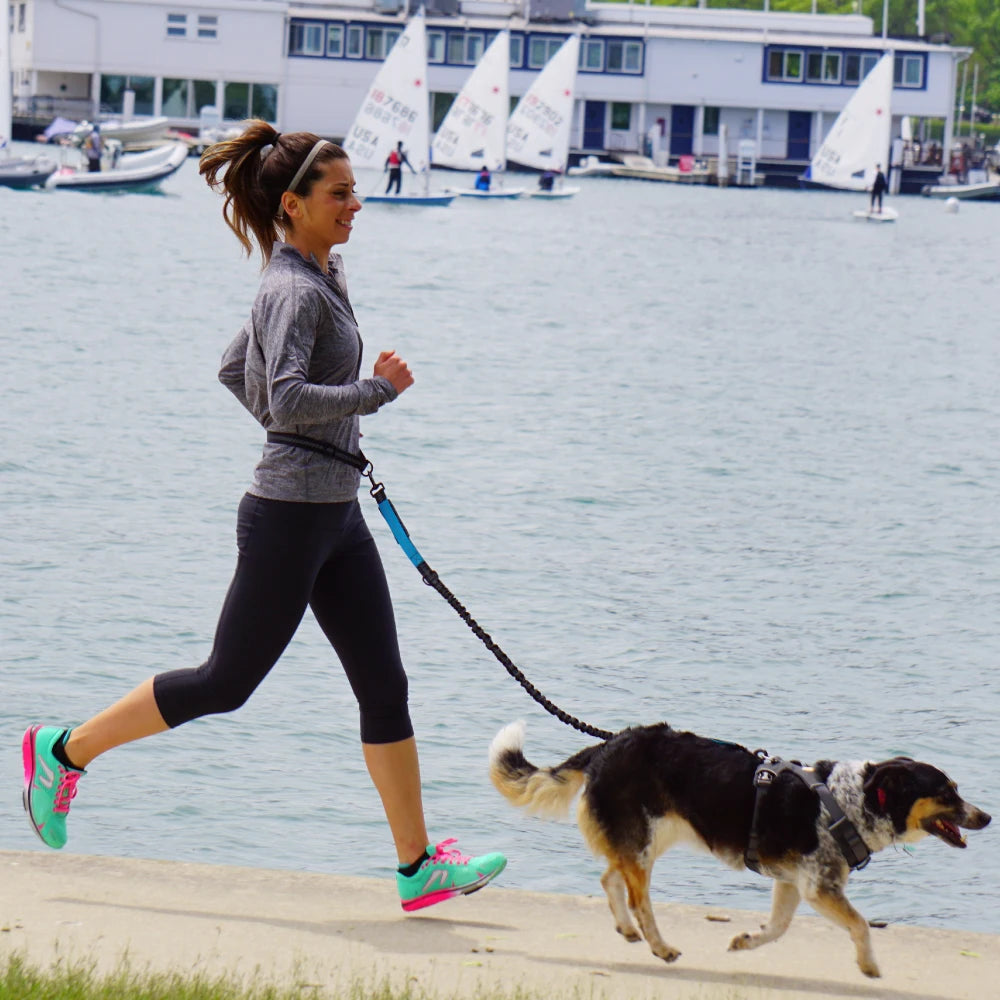 Hands-Free Dog Leash with Waist Belt - Adjustable Running & Jogging Lead
