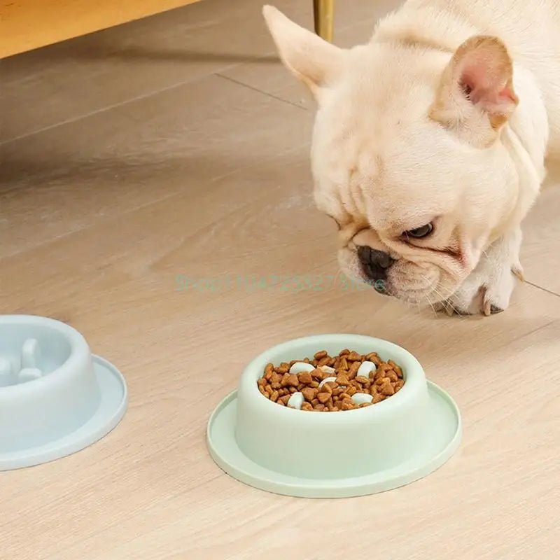 Bloat-Stop Slow Feeder Dog Bowl - Non-Slip Fun Round Eating Dish