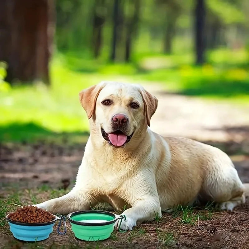 Collapsible Travel Dog Bowls with Lids - 2 Pack Portable Food & Water Dishes