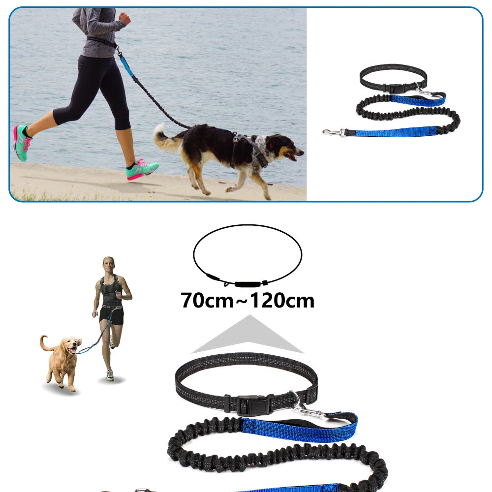Hands-Free Dog Leash with Waist Belt - Adjustable Running & Jogging Lead