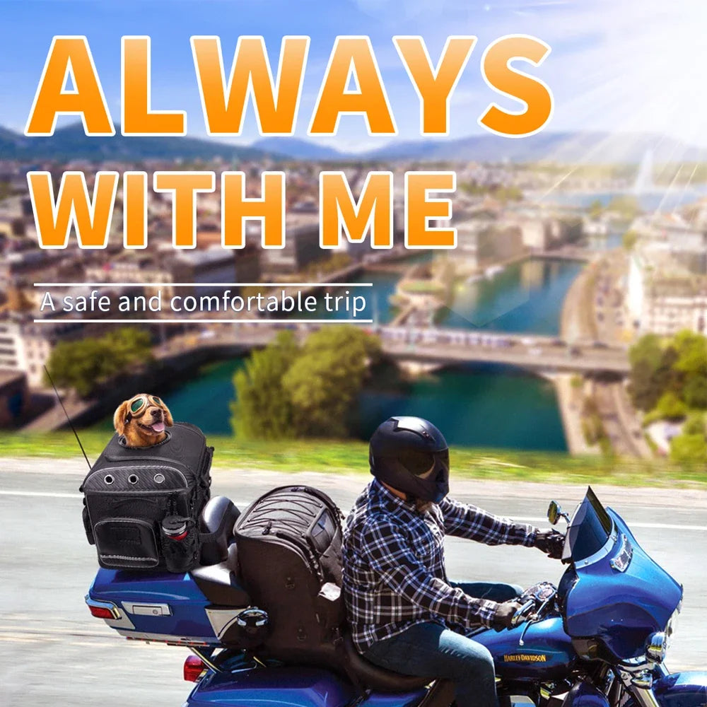 Motorcycle Pet Carrier Bag – Dog & Cat Carrier for Harley Touring, Street Glide, Road King & Trike Models