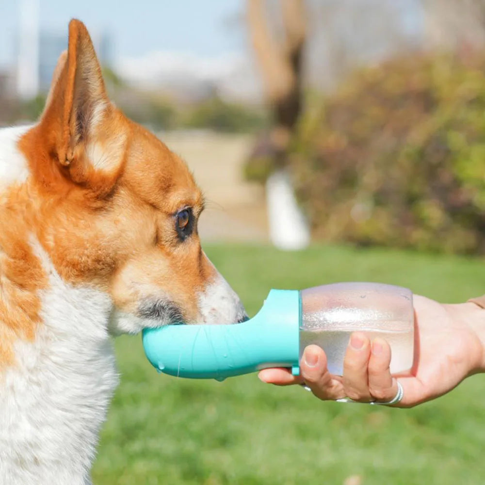 Portable Pet Water Bottle – Leakproof Travel Dispenser for Dogs & Cats