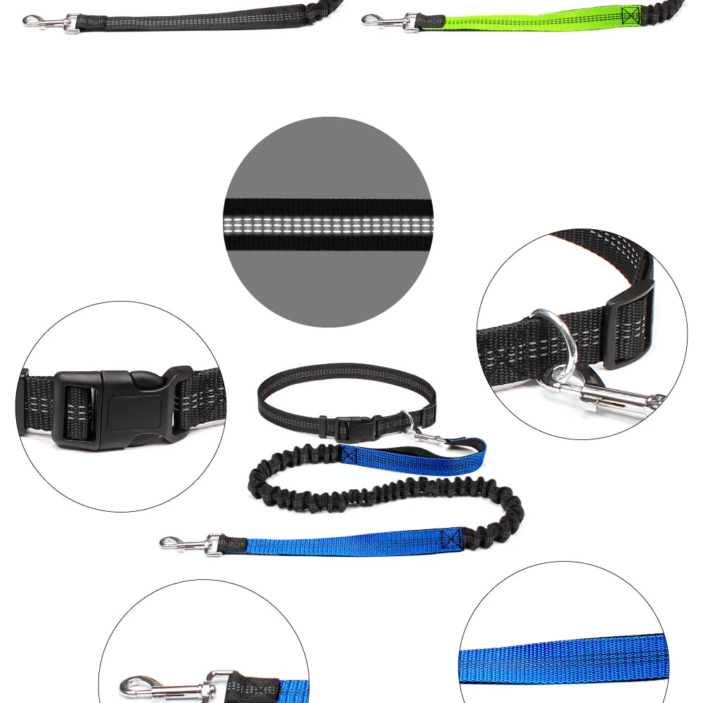 Hands-Free Dog Leash with Waist Belt - Adjustable Running & Jogging Lead