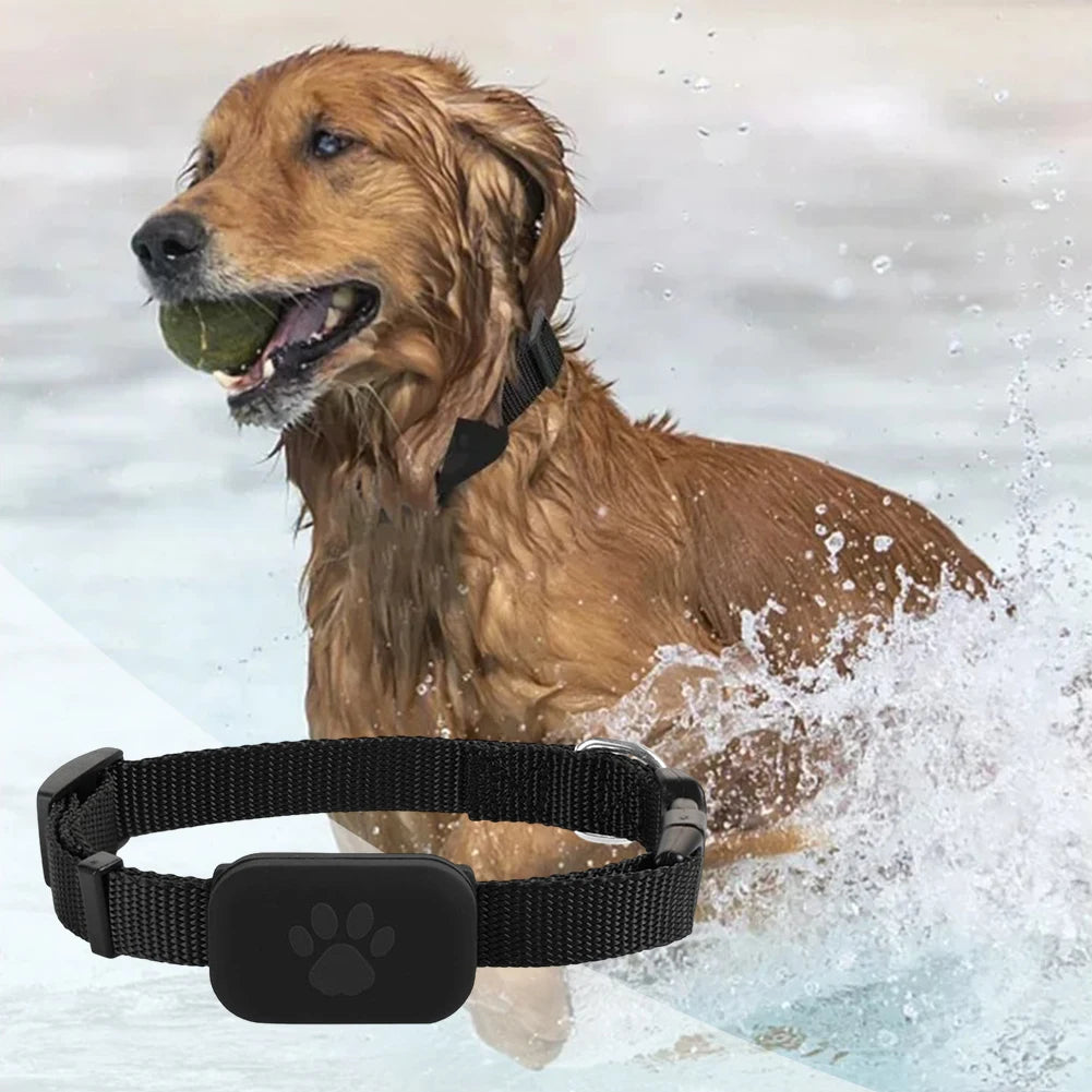 Waterproof Pet GPS Tracker – Real-Time Dog & Cat GPS Locator with Adjustable Collar