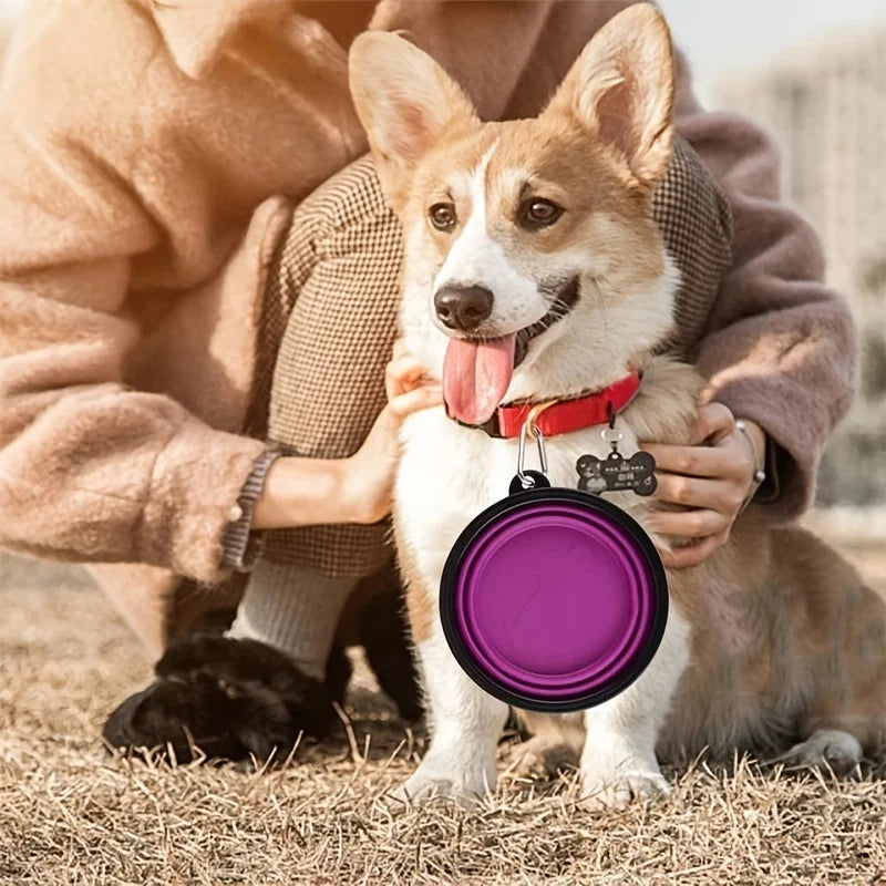 Durable TPR Collapsible Pet Bowl - Portable Travel Food & Water Dish